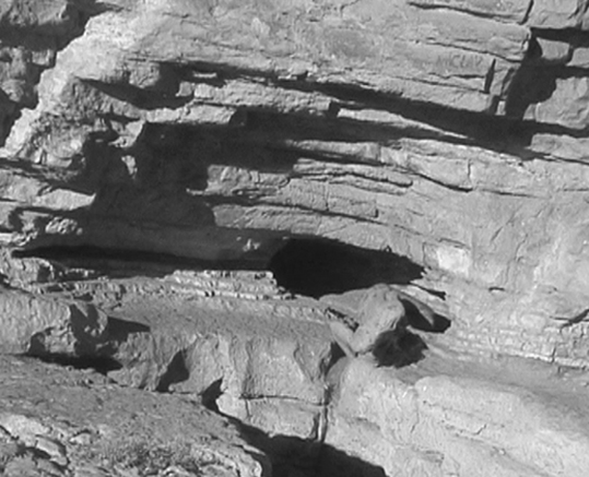 Luc Maubon - Nature 2