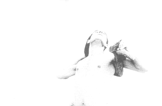 Le Corps le Bois 1995