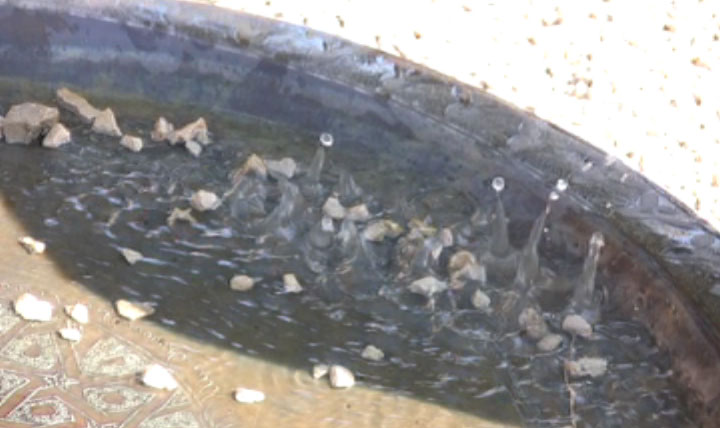 Poésie et Sons - Image 09